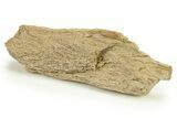 Cretaceous Petrified Wood Covered In Druzy Quartz - Texas #281749-1